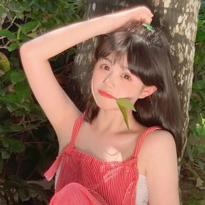 菲格罗斯国服下载